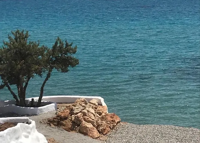 Axiotheaton Lydia Pefki